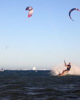 Kitestock
