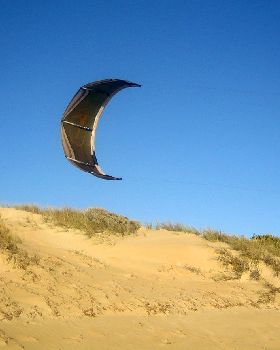 Kitestock
