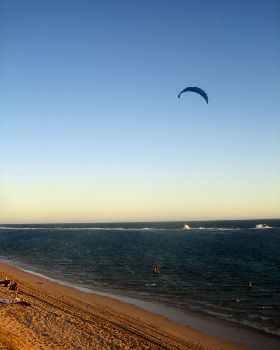 Kitestock