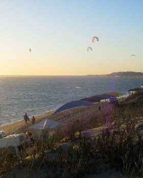 Kitestock