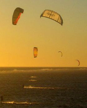 Kitestock