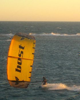 Kitestock