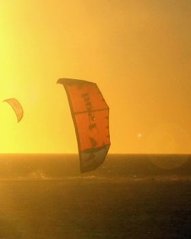 Kitestock