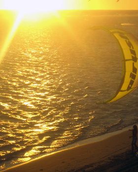 Kitestock