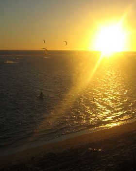 Kitestock
