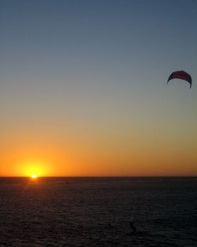 Kitestock