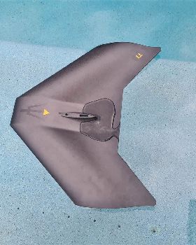 Triton T1 mono wing