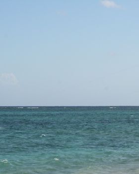 Lady Musgrave Island - Reef in background