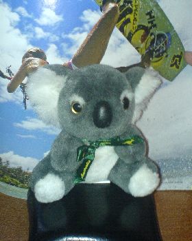 Humpfree Beer Bear