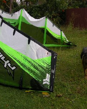 12m North Rhino '05 For Sale