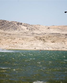 Griffinkites gets 4th place in 2008World Speed Cup