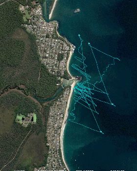 Hybrid tracks
