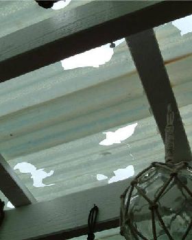 hail damage
