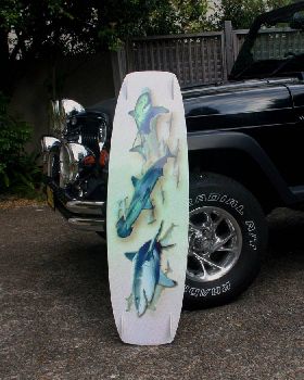 Sharky pre-test