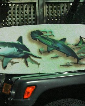 Sharky pre-test