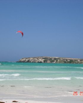 lano wedge kite