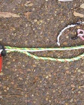 Sheathed Spectra Chicken Loop