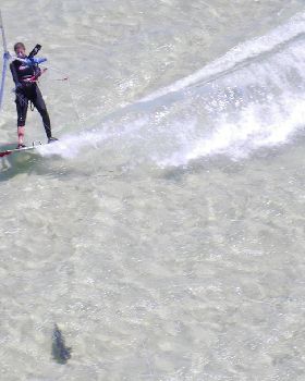 kite cam shark