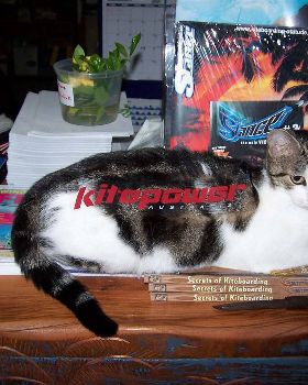Kitepower Pussy