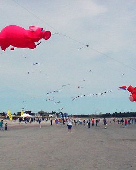 pink kite