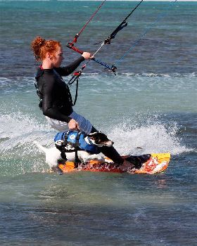 Canine Kite Rescue Service
