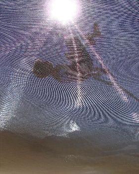 front to blind on a trampoline