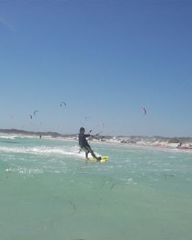 Kitestock