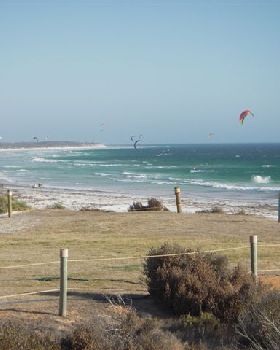 Kitestock