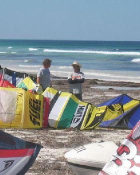 Kites...