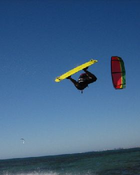 Damo downloop rayley
