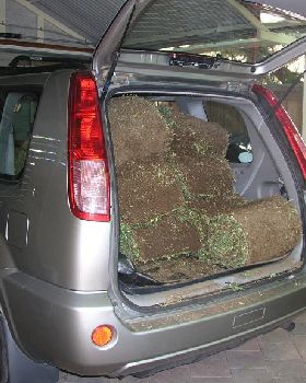 my car