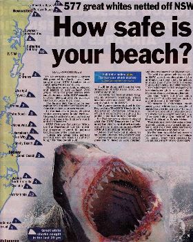 NSW 28yrs of Great White Shark Stats