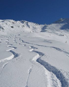 fresh snow2