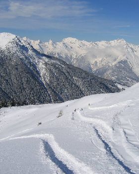 fresh snow1