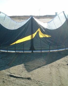 Batwing in JAPAN