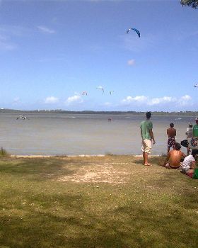 Image005(1)