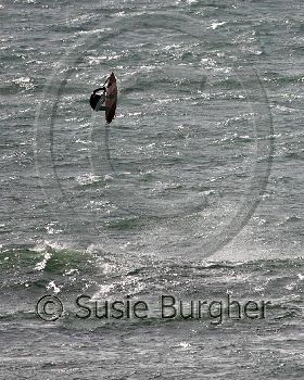 Kitesurfing