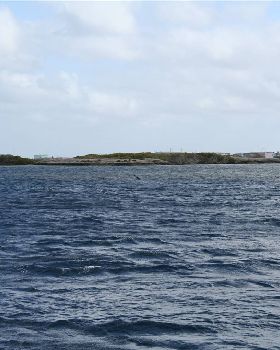 Kiteboarding