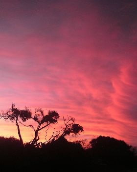 Australian Kite Surfari