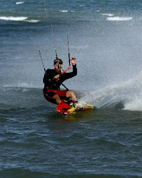 surfari