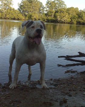 Sumo - PRM Mascot