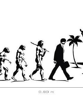 kite evolution