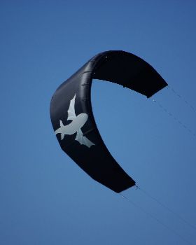 Team C Kite