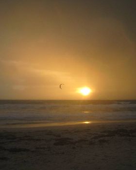 Winter goodness at sunset