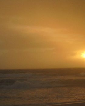 Winter goodness at sunset