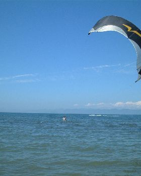 Batwing in JAPAN