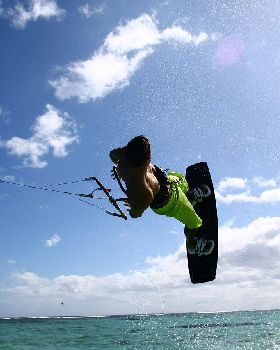 2010 Bandit 111