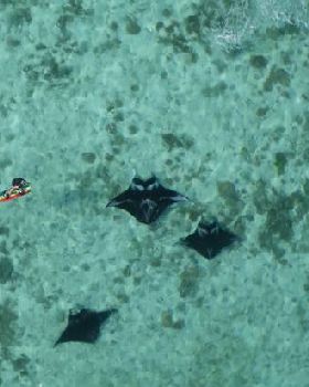 Evan jumping Mantas