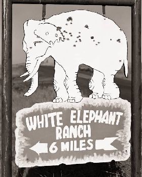 White Elephant Ranch Eastern Oregon 1994