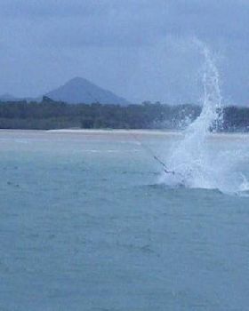 wipeouts